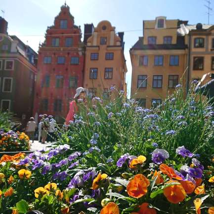 IMG_20180519_183719_518