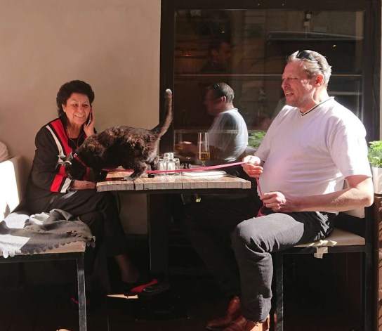 IMG_20180519_202702_959