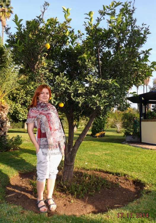 10012115_744645735604447_6888751678152512970_o