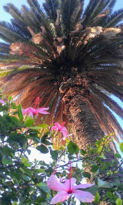 10629327_744649608937393_1868744140693845760_o