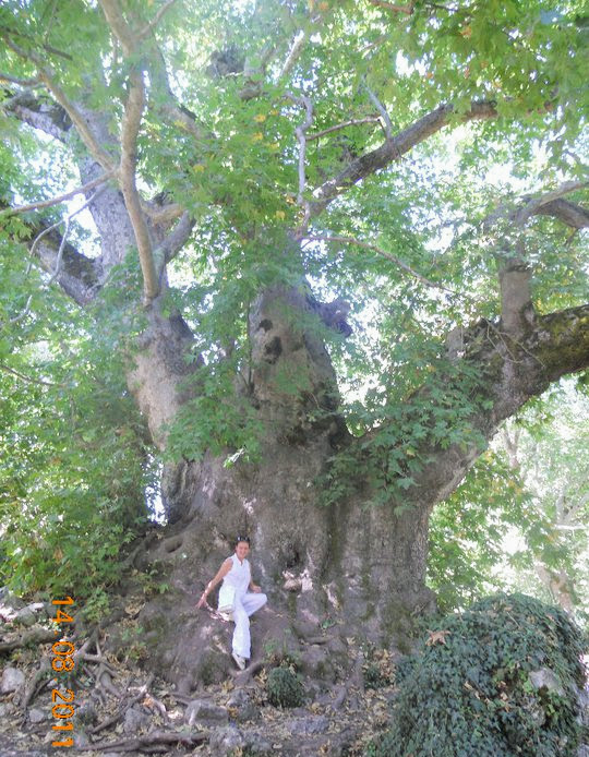 300730_182205468515146_7401814_n