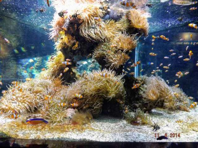 10284564_667463183322703_2410042204706269800_o