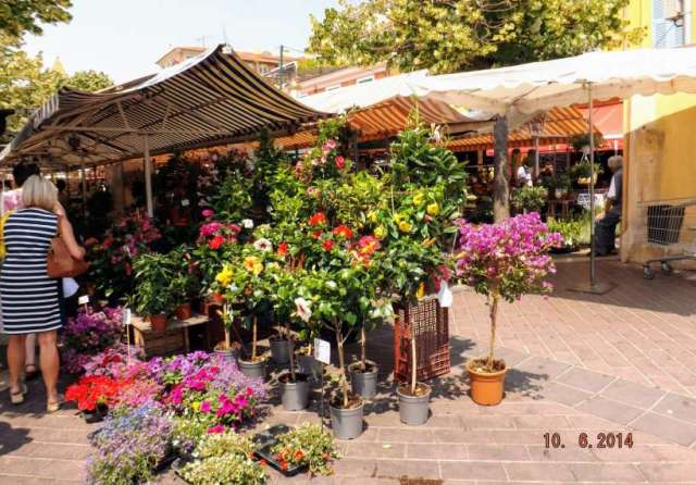 10338643_667457816656573_6148554702733211955_o