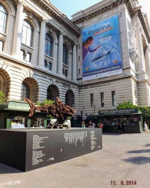 10380200_667462389989449_6623591441015178586_o