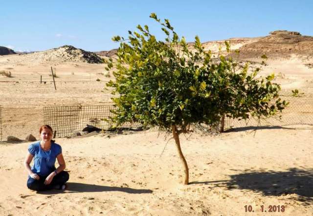 735562_440334266035597_1538725320_o (1)