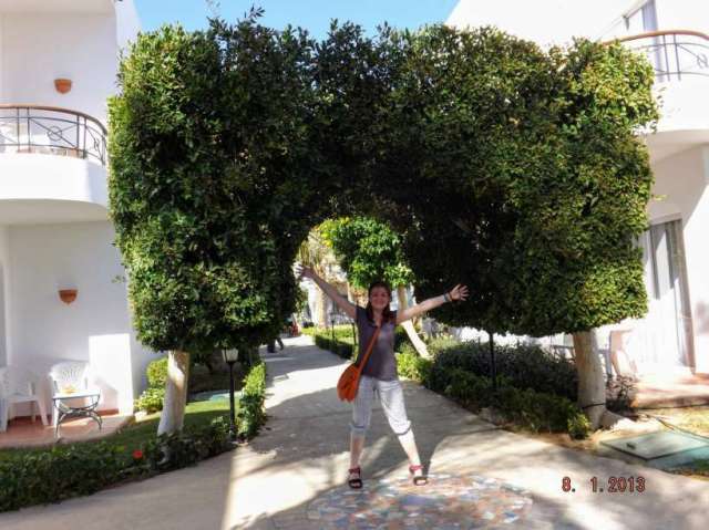 741069_440333679368989_345498136_o (1)