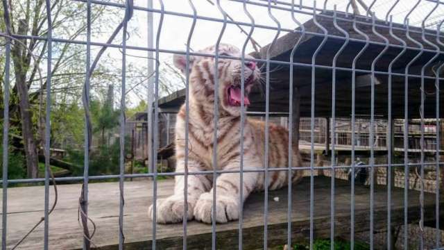 11063613_830703933665293_8205956770369922045_o