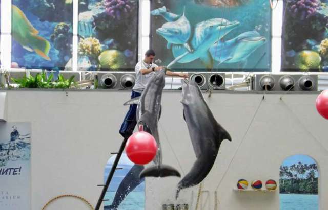 1008609_528633580538998_58054309_o