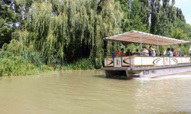 1096963_528627240539632_210803990_o