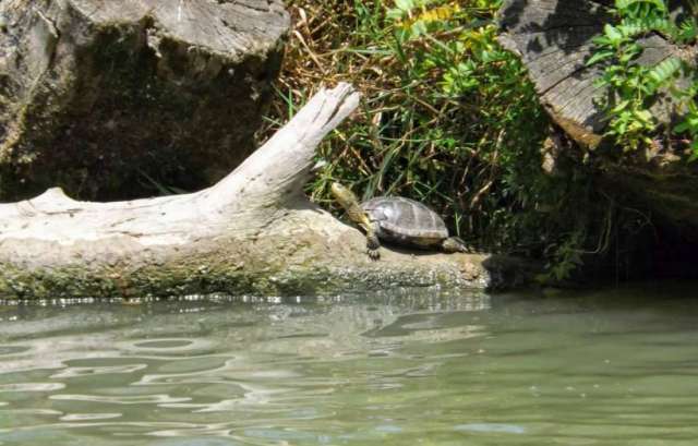 735582_528627390539617_1079225788_o