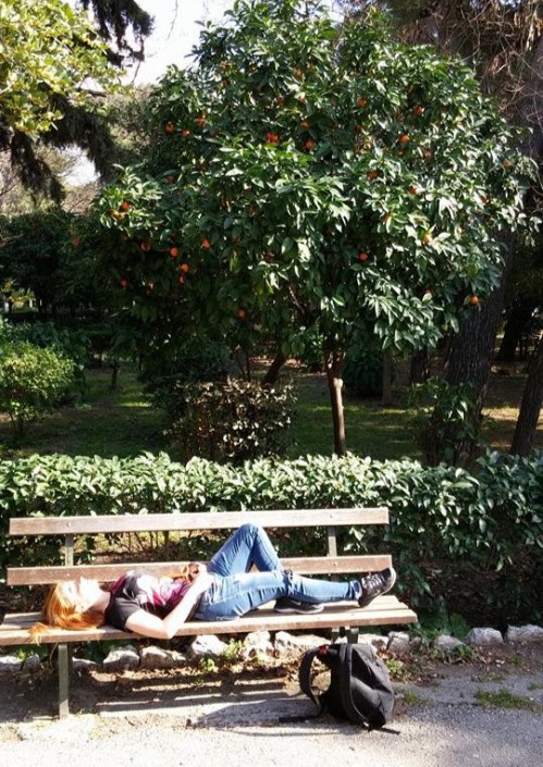 10290066_969987189736966_6338389271666946319_n