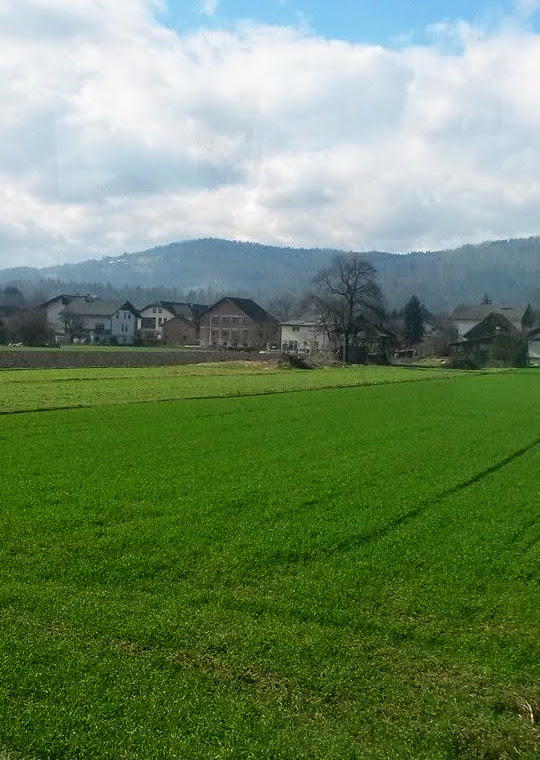 1795612_608907669178255_371960943_n