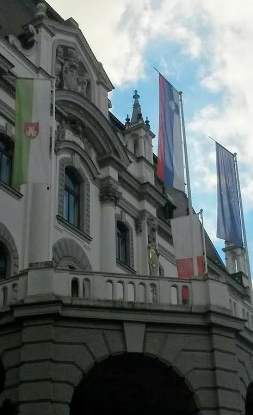 1920401_608908175844871_1147253477_n