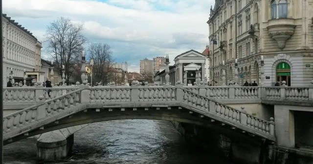 1925256_608907772511578_777724399_n