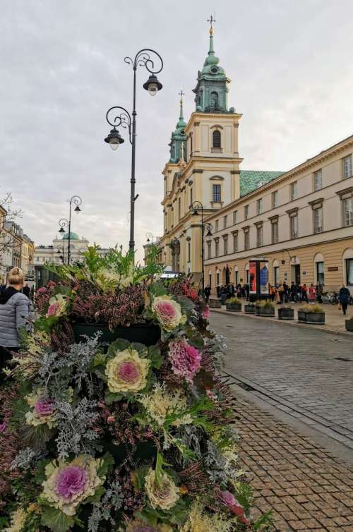 IMG_20191113_145822_1