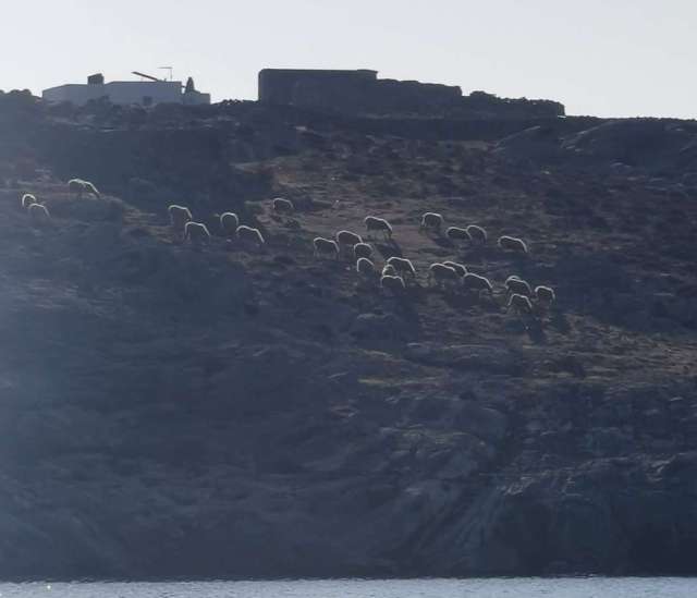 IMG_20210831_083022_1